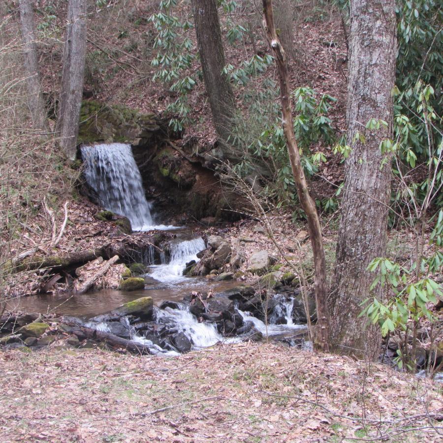 Red Leaf River Inn Waynesville Bagian luar foto