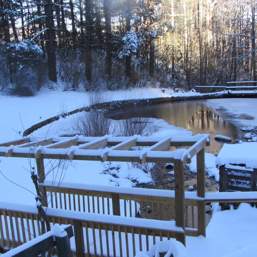 Red Leaf River Inn Waynesville Bagian luar foto