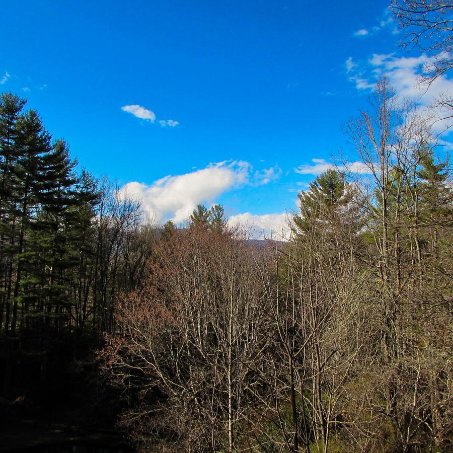 Red Leaf River Inn Waynesville Bagian luar foto